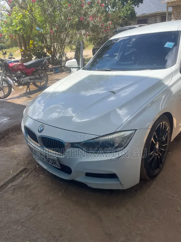 BMW 320i 2014 White - 1