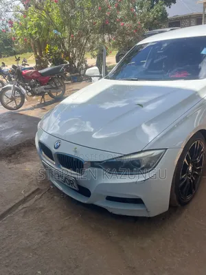 BMW 320i 2014 White