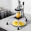 Home/Restaurant Potato Chipper - 2