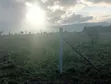 Kiwanja cha Makazi Kuuzwa Joska Ndovoine chenye Hati Tayari - 2