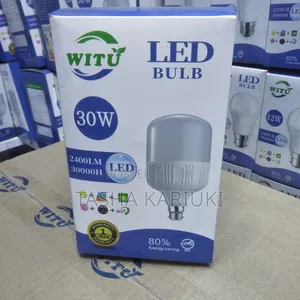 Emergency Light Bulb 30w_ Witu