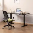 1.2M Premium Electric Standing Desk - 5