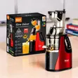 RAF R.2831 400ml Slow Juicer - 2