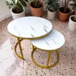 Space-Saving 2-in-1 Marble Top Gold Nesting Coffee Table - 2