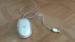 Apple Mouse - Brand New - 2