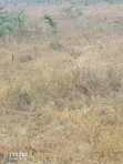 Malaa Off Kangundo Rd: 103 Acres, 3.9km Inside - 2