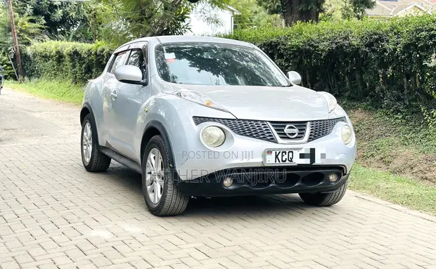 Nissan Juke 2011 Silver - 1