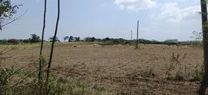 2 Acres Land for Sale - Kampi Ya Moto, Nakuru