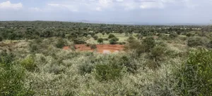 13 Acres Land for Sale - Mogotio Chemogoch