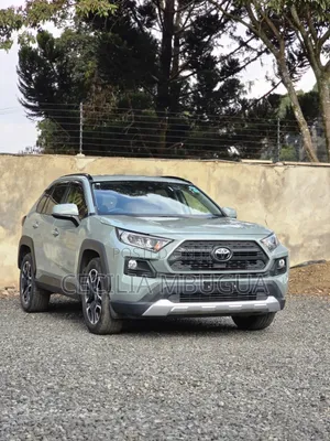 Toyota RAV4 Adventure 2019 Kijani