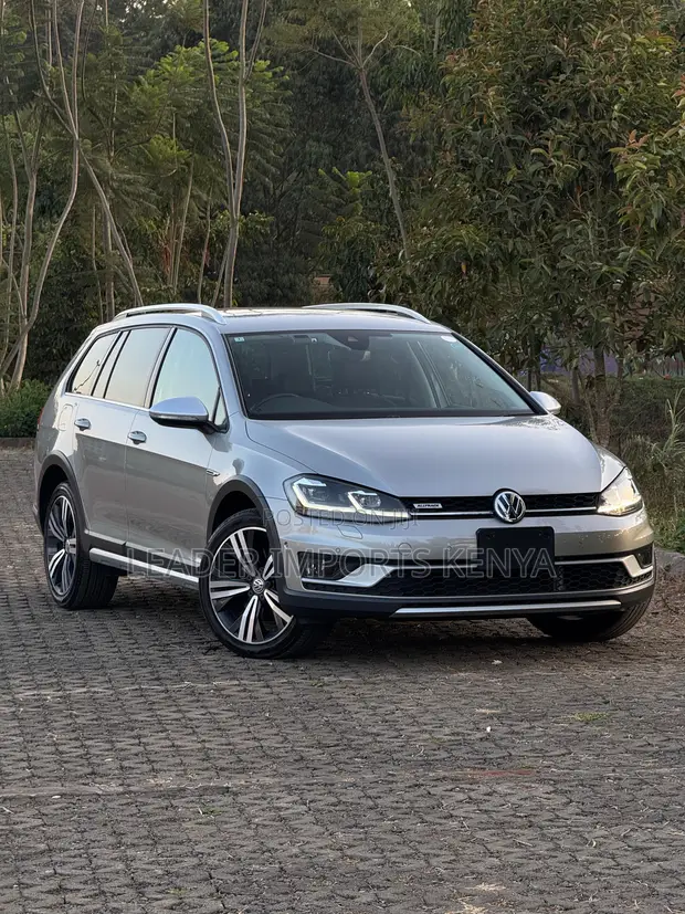 Volkswagen Golf Alltrack 2020 Kijivu - 1