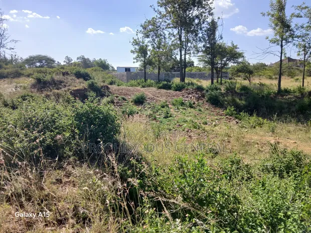 100x100ft Residential Plots for Sale in O/Rongai Masaai Lodge - 1