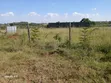 100x100ft Residential Plots for Sale in O/Rongai Masaai Lodge - 2