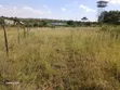 100x100ft Residential Plots for Sale in O/Rongai Masaai Lodge - 3