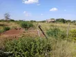 100x100ft Residential Plots for Sale in O/Rongai Masaai Lodge - 4