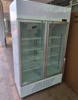 2-Door Commercial Display Chiller - 1000L