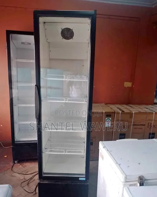 Friji Kubwa ya Exuk ya Kuonyesha - Imetumika - 1