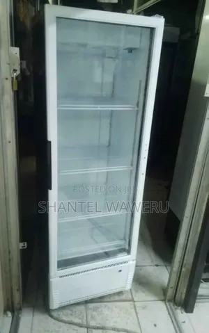 Friji la Kuonyesha la Lita 400