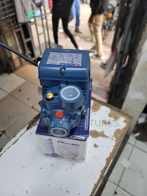 Pedrollo 0.5HP Booster Pump - 1