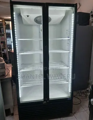 2-Door Display Cooler Fridge