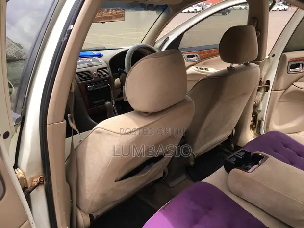 Nissan Bluebird 2005 Pearl - 1