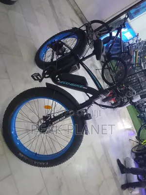 Heavy Duty 26 Inch Electric Bicycle – 1000W