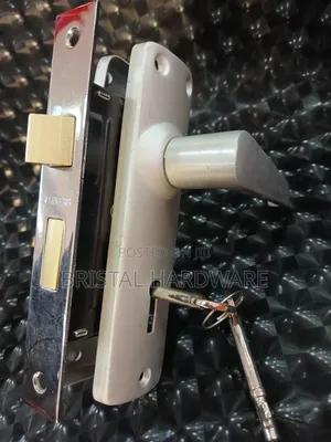 Door Lock Fly Globe 2 Lever