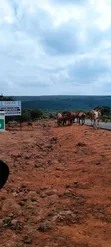 Affordable Land for Sale in Ngong Kimuka - 5