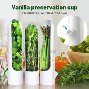 Fresh Herbs Fridge Storage Container