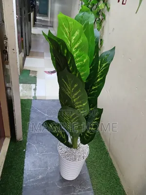 Artificial Plant - Home Interiors