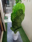 Artificial Plant - Home Interiors - 2