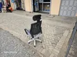 Boss Office Products Kiti cha Ofisi chenye Ergonomics - 2