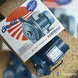 Pedrollo 1HP Electric Water Pump - Brand New - 2