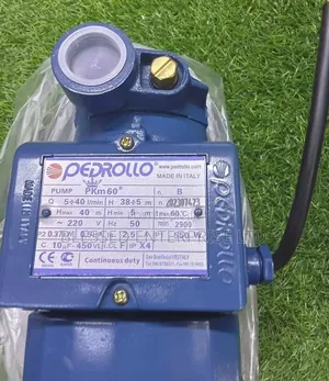 Pedrollo Water Pump - Commercial Grade