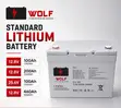 Standard Lithium Battery - 1