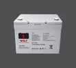 Standard Lithium Battery - 2