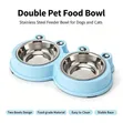 Double Pet Food Bowl for Cats & Dogs (Stainless Steel & Plastic) - 1