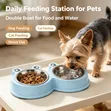 Double Pet Food Bowl for Cats & Dogs (Stainless Steel & Plastic) - 4