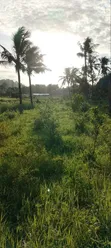Residential Plot for Sale - Bamburi - 2