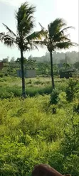 Residential Plot for Sale - Bamburi - 3