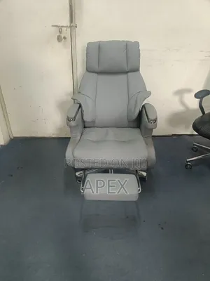 Brand New Director's Executive Office Chair