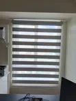Horizontal Window Blinds - Stylish & Elegant - 1