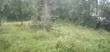 Commercial Plot for Sale, Kakamega Outskirts - 4