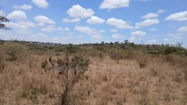 24 Acres Block for Sale in Oloolua, Maasai Lodge - 1