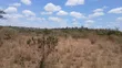 24 Acres Block for Sale in Oloolua, Maasai Lodge - 1