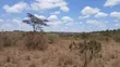 24 Acres Block for Sale in Oloolua, Maasai Lodge - 2