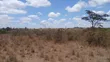 24 Acres Block for Sale in Oloolua, Maasai Lodge - 4