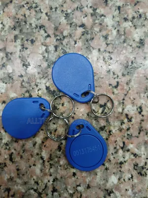 RFID Keyfobs for Access Control (2pcs)
