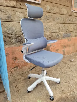 Grey Ergonomic Office Chair with Headrest