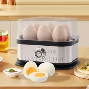 Stainless Steel Electric Egg Boiler